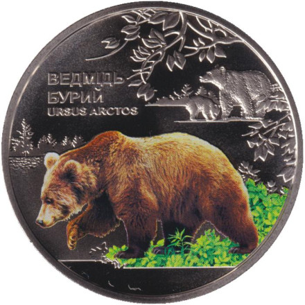 Монета 5 гривен. 2022 год, Украина. Бурый медведь. Чернобыльский радиационно-экологический биосферный заповедник.