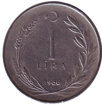 1966-1m2.jpg