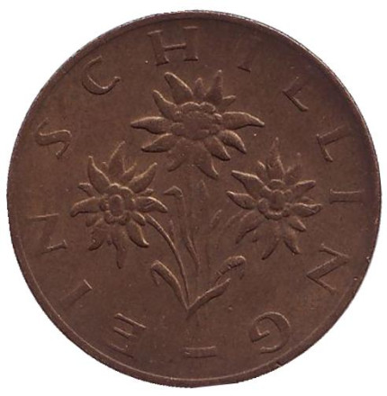 Монета 1 шиллинг. 1975 год, Австрия. Эдельвейс.