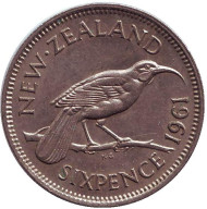 Монета 6 пенсов. 1961 год, Новая Зеландия. Гуйя. Монета 6 пенсов. 1961 год, Новая Зеландия. Гуйя.