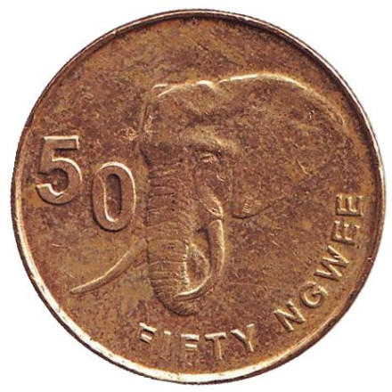 Монета 50 нгве. 2012 год, Замбия. Саванный слон.