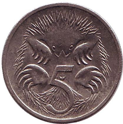 Монета 5 центов. 2001 год, Австралия. Ехидна.