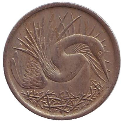 Монета 5 центов. 1970 год, Сингапур. Большая белая цапля.