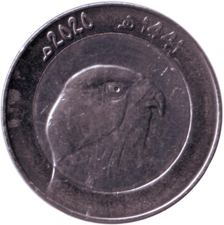 Монета 10 динаров. 2020 год, Алжир. Сокол.
