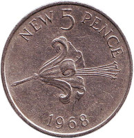 Лилия. Монета 5 новых пенсов. 1968 год, Гернси.