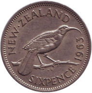 Монета 6 пенсов. 1963 год, Новая Зеландия. Гуйя. Монета 6 пенсов. 1963 год, Новая Зеландия. Гуйя.
