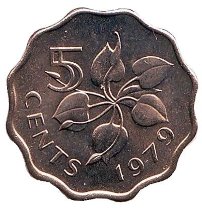 Монета 5 центов. 1979 год, Свазиленд. UNC. Орхидея.