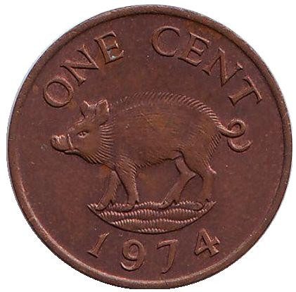 Монета 1 цент. 1974 год, Бермудские острова. Поросенок.
