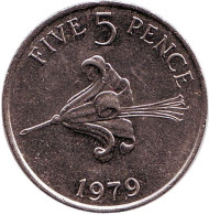 Монета 5 пенсов. 1979 год, Гернси. Лилия. Монета 5 пенсов. 1979 год, Гернси. Лилия.