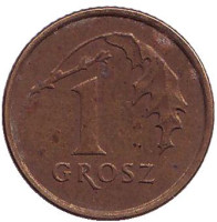 Дубовый лист. Монета 1 грош, 1993 год, Польша.
