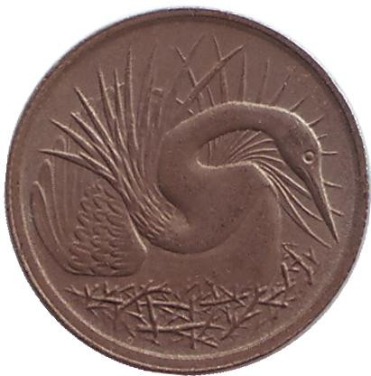 Монета 5 центов. 1978 год, Сингапур. Большая белая цапля.