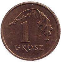 Дубовый лист. Монета 1 грош, 2008 год, Польша. Из обращения.