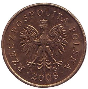 Монета 1 грош, 2008 год, Польша. Из обращения. Дубовый лист. Монета 1 грош, 2008 год, Польша. Из обращения. Дубовый лист.