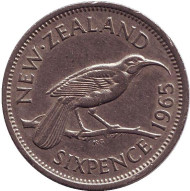 Монета 6 пенсов. 1965 год, Новая Зеландия. Гуйя. Монета 6 пенсов. 1965 год, Новая Зеландия. Гуйя.