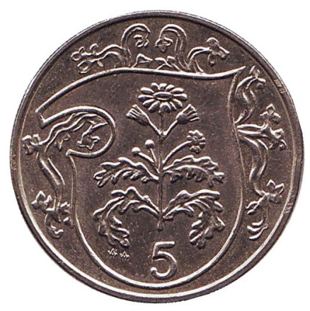 Монета 5 пенсов. 1987 год, Остров Мэн. Растение Крестовик.