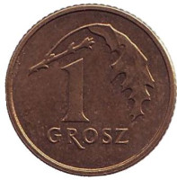 Дубовый лист. Монета 1 грош, 2013 год, Польша. (старый тип)