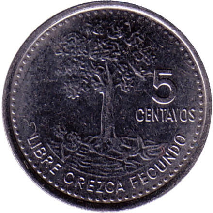 Монета 5 сентаво, 2011 год, Гватемала. Хлопковое дерево.
