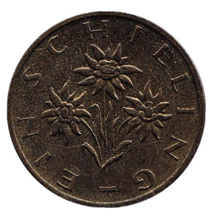 Монета 1 шиллинг. 1994 год, Австрия. Эдельвейс.