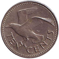 Чайка. Монета 10 центов. 1980 год, Барбадос. 