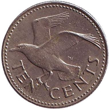 Монета 10 центов. 1980 год, Барбадос. Чайка.