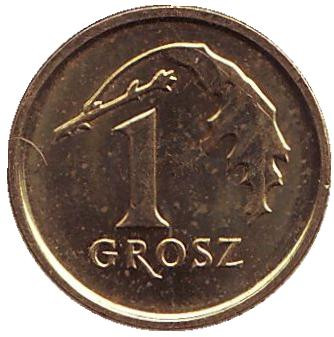 Монета 1 грош, 2016 год, Польша. Дубовый лист.