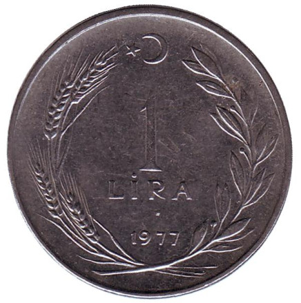 1977-1na.jpg
