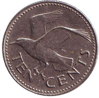 Чайка. Монета 10 центов. 1987 год, Барбадос. 