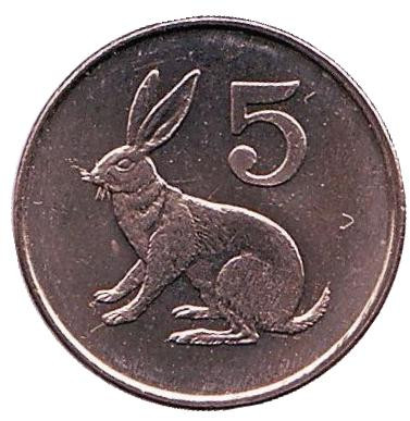 Кролик. 5 центов. 1997 год, Зимбабве. UNC.