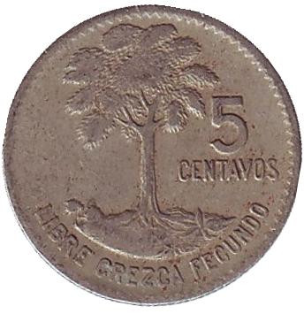 Монета 5 сентаво, 1968 год, Гватемала. Хлопковое дерево.