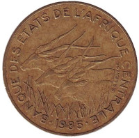 Африканские антилопы. (Западные канны). Монета 10 франков. 1985 год, Центральные Африканские Штаты.