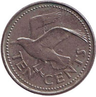 Чайка. Монета 10 центов. 1990 год, Барбадос. 