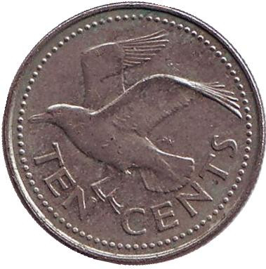 Монета 10 центов. 1990 год, Барбадос. Чайка.