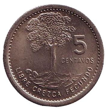 Монета 5 сентаво. 1980 год, Гватемала. Хлопковое дерево.