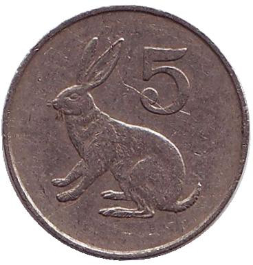 Монета 5 центов, 1980 год, Зимбабве. Кролик.