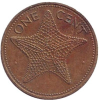 Морская звезда. Монета 1 цент. 1981 год, Багамские острова. Без отметки монетного двора.