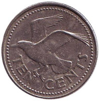 Чайка. Монета 10 центов. 1996 год, Барбадос. 