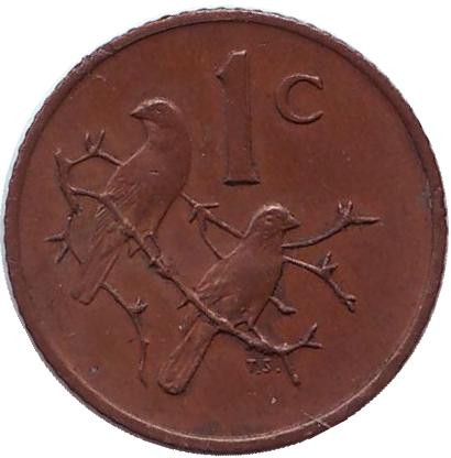 Монета 1 цент. 1970 год, ЮАР. Воробьи.
