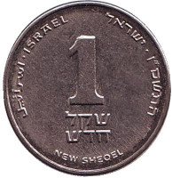 Монета 1 новый шекель. 2006 год, Израиль. (без подсвечника)