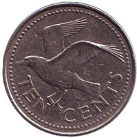 Чайка. Монета 10 центов. 2005 год, Барбадос.