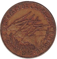 Африканские антилопы. (Западные канны). Монета 5 франков. 1975 год, Центральные Африканские штаты.