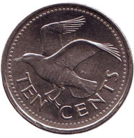Чайка. Монета 10 центов. 2007 год, Барбадос.