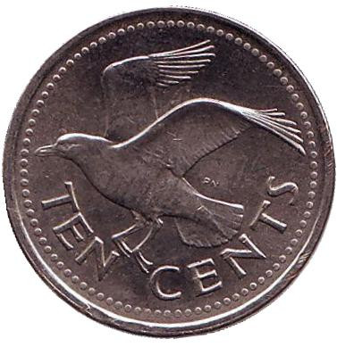 Монета 10 центов. 2007 год, Барбадос. Чайка.