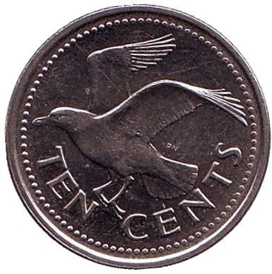 Монета 10 центов. 2008 год, Барбадос. Чайка.