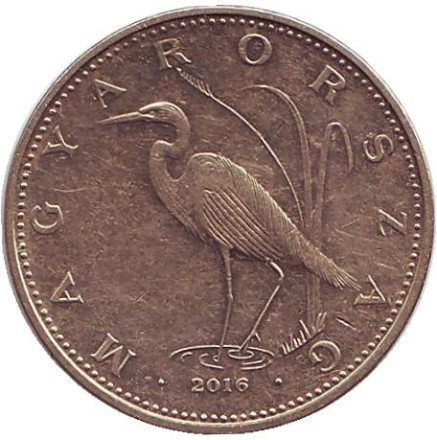 Монета 5 форинтов. 2016 год, Венгрия. Большая белая цапля.