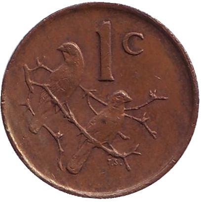 Монета 1 цент. 1983 год, ЮАР. Воробьи.