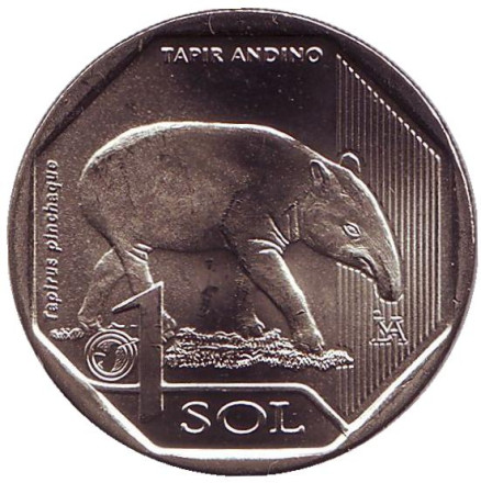Монета 1 соль. 2018 год, Перу. Горный тапир. Фауна Перу.