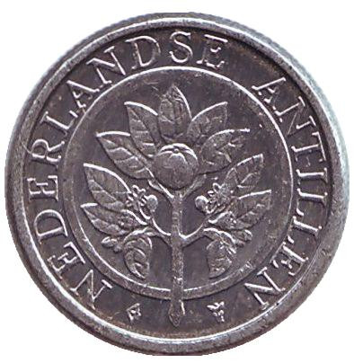 Монета 1 цент. 1993 год, Нидерландские Антильские острова. Цветок апельсинового дерева.