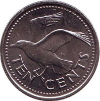 Чайка. Монета 10 центов. 2012 год, Барбадос.