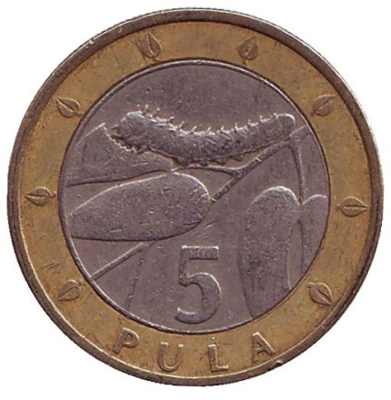 Монета 5 пул. 2000 год, Ботсвана. Гусеница.