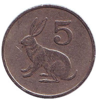  Кролик. 5 центов, 1989 год, Зимбабве.